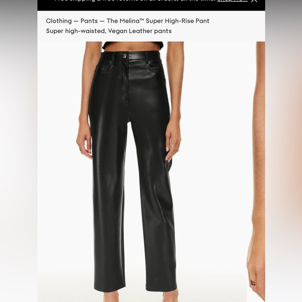 Aritzia Melina Pants